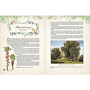 Gifts of the Russian Forest. Mushrooms, Berries, and Healing Plants