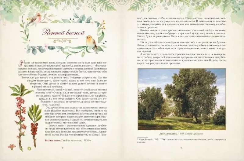 Gifts of the Russian Forest. Mushrooms, Berries, and Healing Plants
