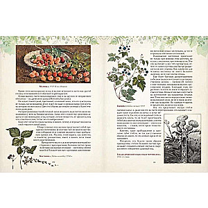 Gifts of the Russian Forest. Mushrooms, Berries, and Healing Plants