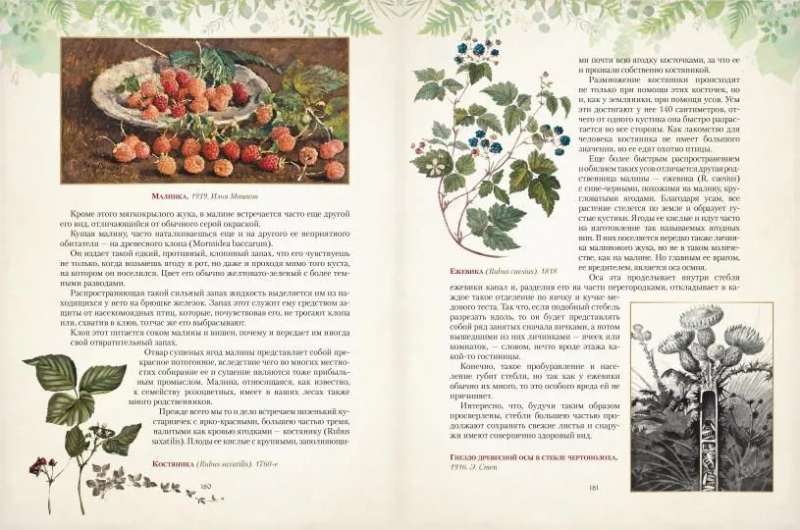 Gifts of the Russian Forest. Mushrooms, Berries, and Healing Plants