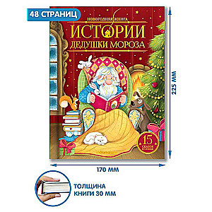 Новогодняя книга. Истории Дедушки Мороза