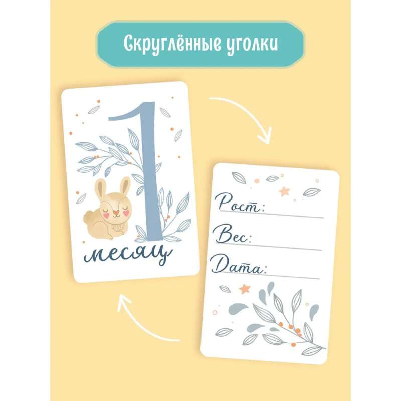 Cards for Photoshoot. Our Little One