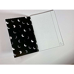 Mara and Morok's Notebook. A Special Shadow