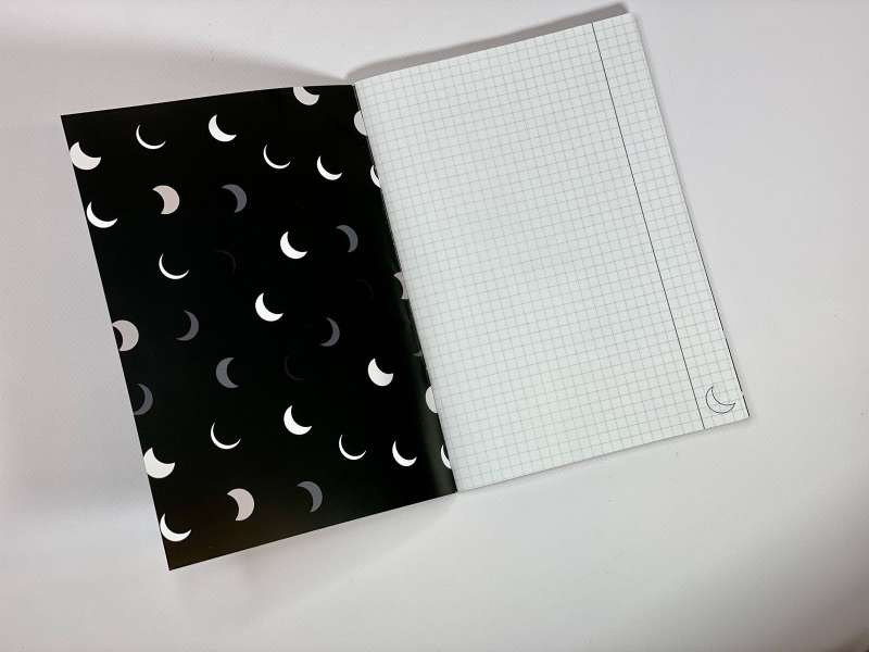 Mara and Morok's Notebook. A Special Shadow