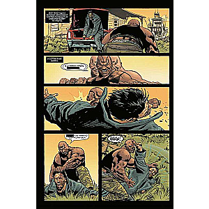 Punisher MAX. Complete Collection. Volume 3