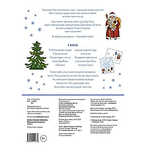 New Year Fair. Anticipating the Holiday. Advent