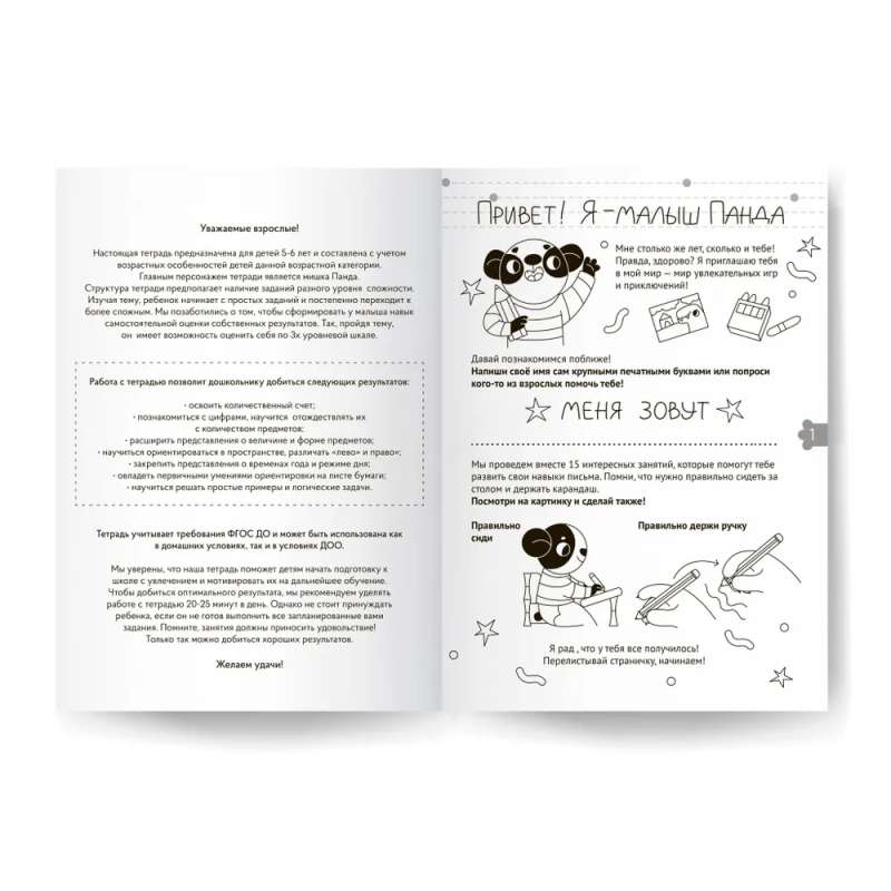 Workbook "Learning to Write". Preparing for School