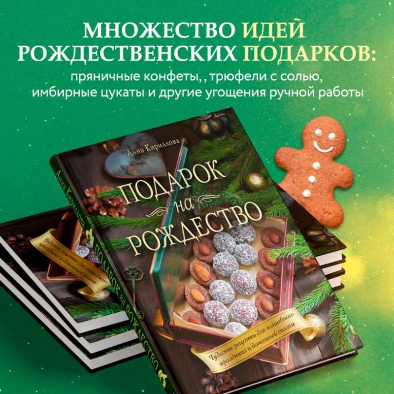 Christmas Gift. Wonderful Recipes for a Magical Holiday and Home Fairytale