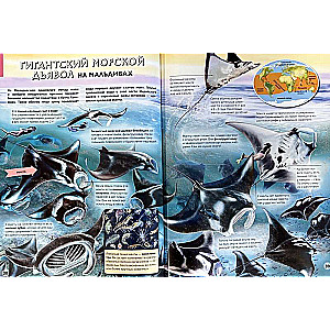 Seas and Oceans. Illustrated Atlas