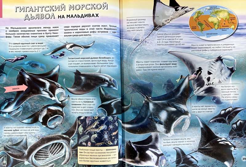 Seas and Oceans. Illustrated Atlas