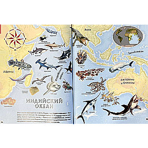 Seas and Oceans. Illustrated Atlas
