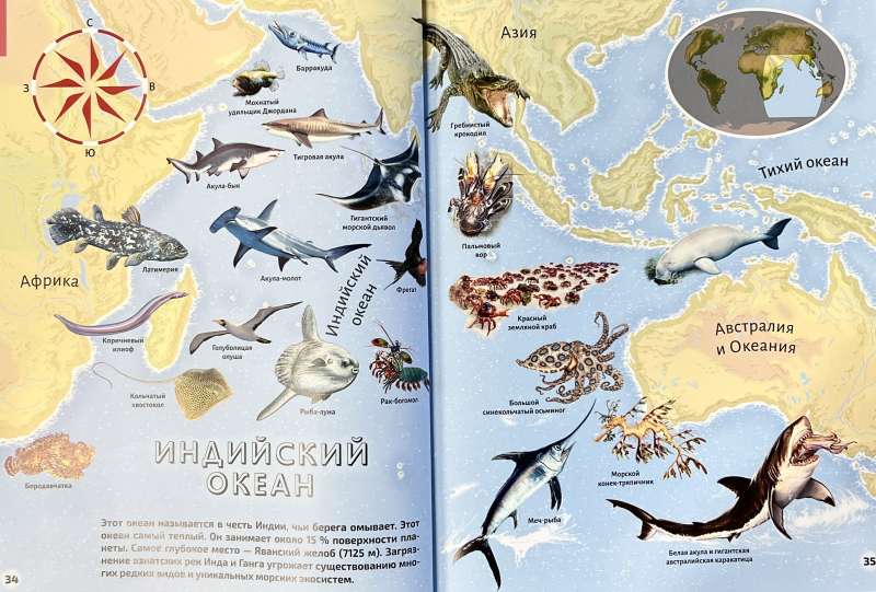 Seas and Oceans. Illustrated Atlas