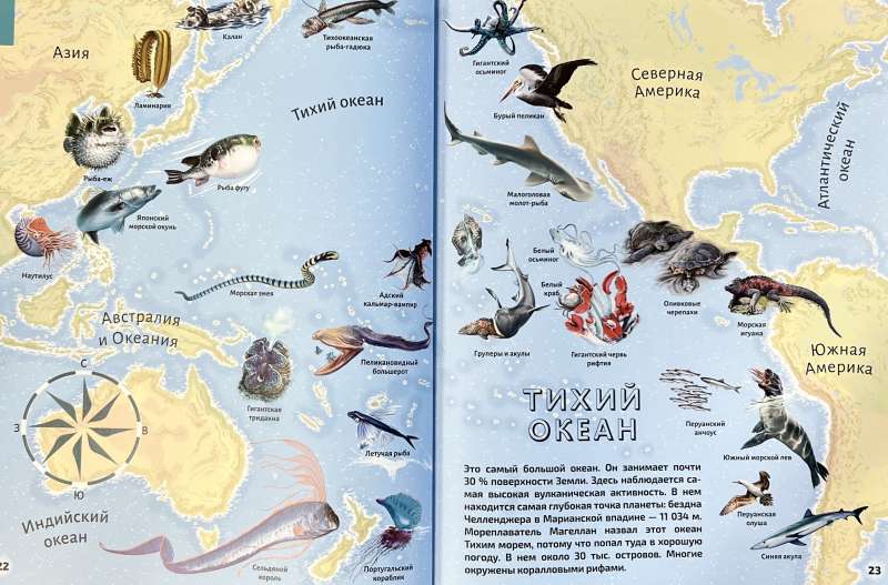 Seas and Oceans. Illustrated Atlas