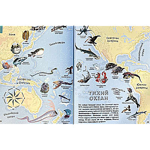 Seas and Oceans. Illustrated Atlas
