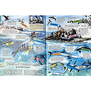 Seas and Oceans. Illustrated Atlas