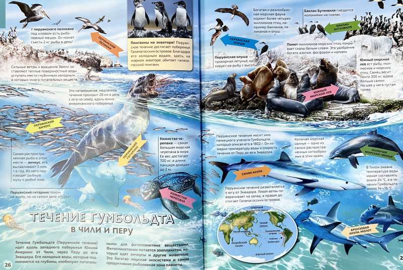 Seas and Oceans. Illustrated Atlas