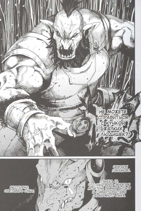 Goblin Slayer manga. Volume 5