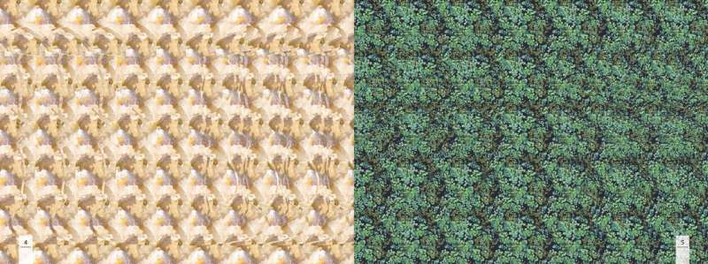 Hidden Objects for Meditation. 75 Stereograms. Vision Training and Recovery