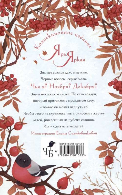 Bride of November. Gift Edition Design 2023