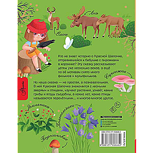 Little Red Riding Hood and the Secrets of the Forest