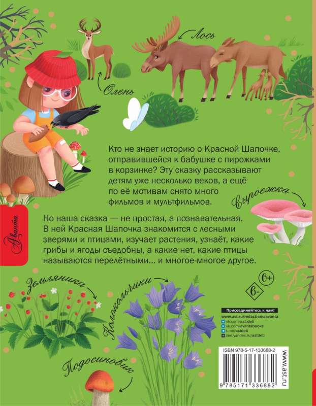 Little Red Riding Hood and the Secrets of the Forest