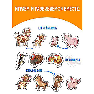Animals