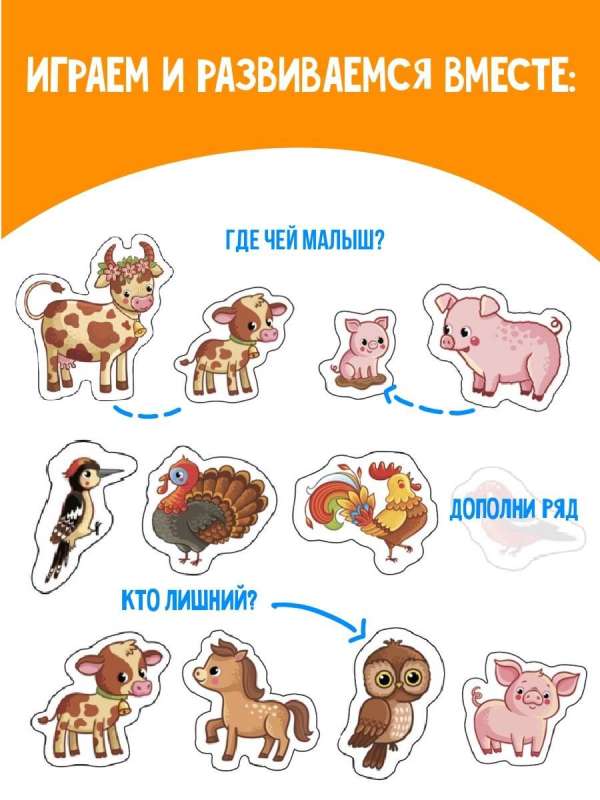 Animals