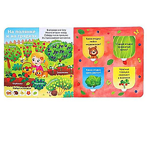 Cardboard Book with Windows. In the Forest, Garden, and Vegetable Garden