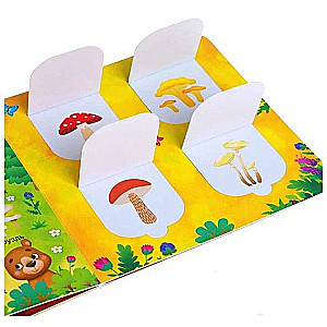 Cardboard Book with Windows. In the Forest, Garden, and Vegetable Garden