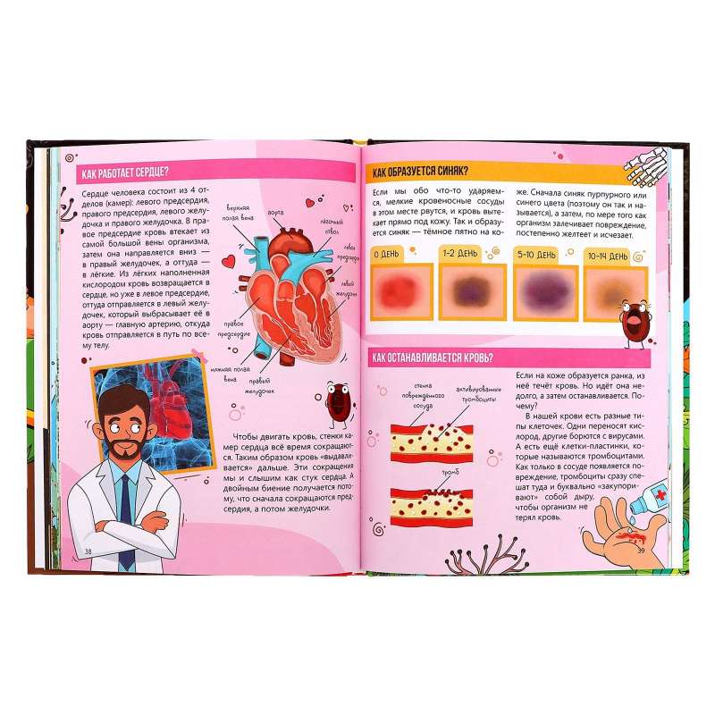 Encyclopedia. How Everything Works