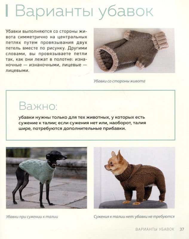 Beautiful dog clothes. Fluffy trends for any breed. Knitting with needles