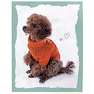 Beautiful dog clothes. Fluffy trends for any breed. Knitting with needles