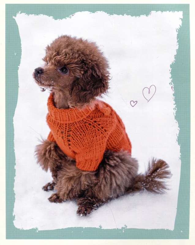 Beautiful dog clothes. Fluffy trends for any breed. Knitting with needles