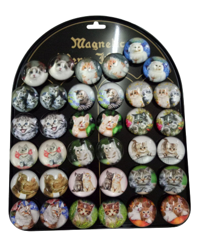 Magnet - Cat 3.5cm, mix