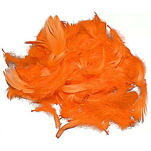 Decorating Feathers 50pcs. 10-12cm, orange