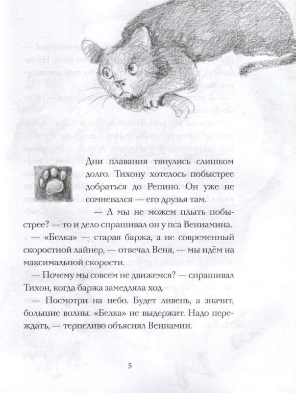 Cat Tikhon Returns Home