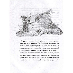 Cat Tikhon Returns Home