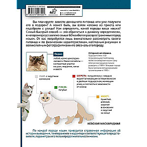 Cat Guide. Physical Characteristics and Breed Features