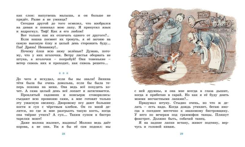Mickey the Fox's Diary