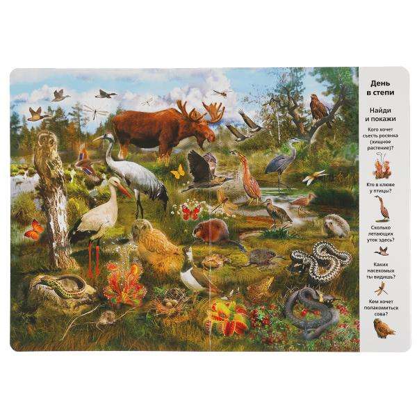 In the Animal World. Find and Show. Wimmelbuch.