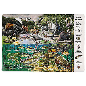 In the Animal World. Find and Show. Wimmelbuch.
