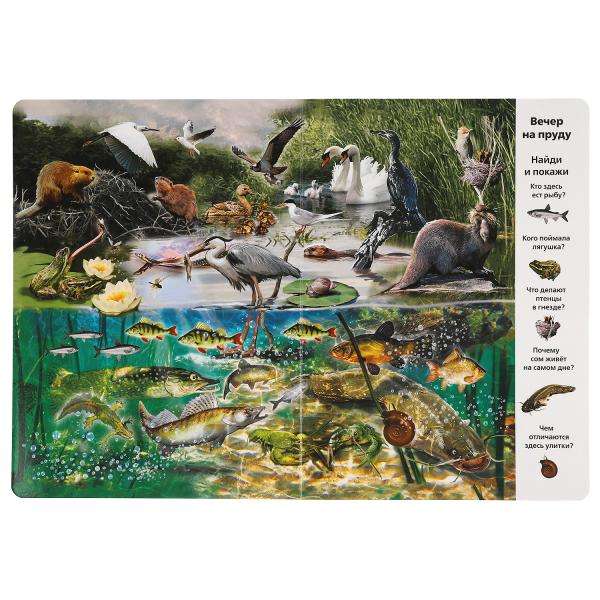 In the Animal World. Find and Show. Wimmelbuch.