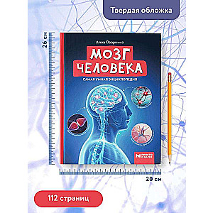 The Human Brain: The Smartest Encyclopedia