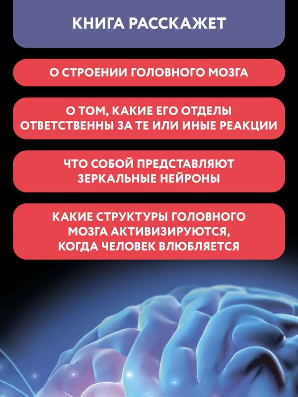 The Human Brain: The Smartest Encyclopedia