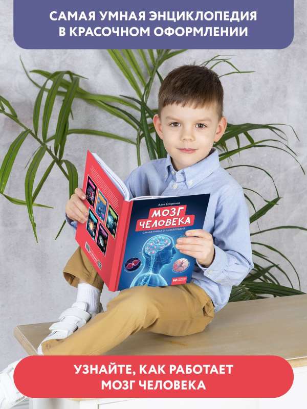 The Human Brain: The Smartest Encyclopedia