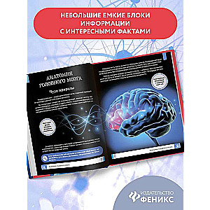 The Human Brain: The Smartest Encyclopedia