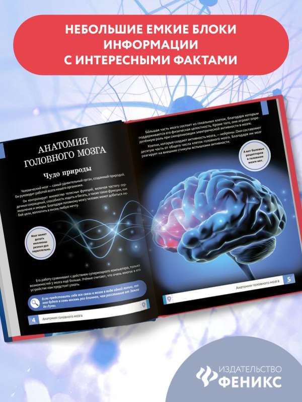 The Human Brain: The Smartest Encyclopedia