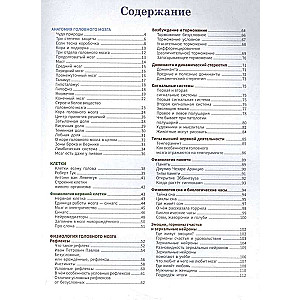 The Human Brain: The Smartest Encyclopedia