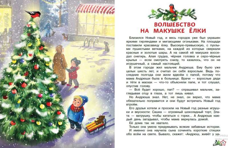 Žiemos istorijos