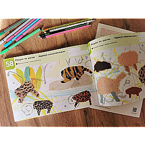 Drawing Step by Step. Animals